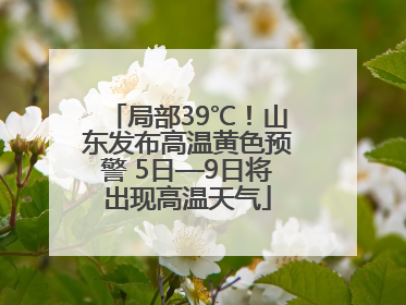 局部39℃！山东发布高温黄色预警 5日—9日将出现高温天气